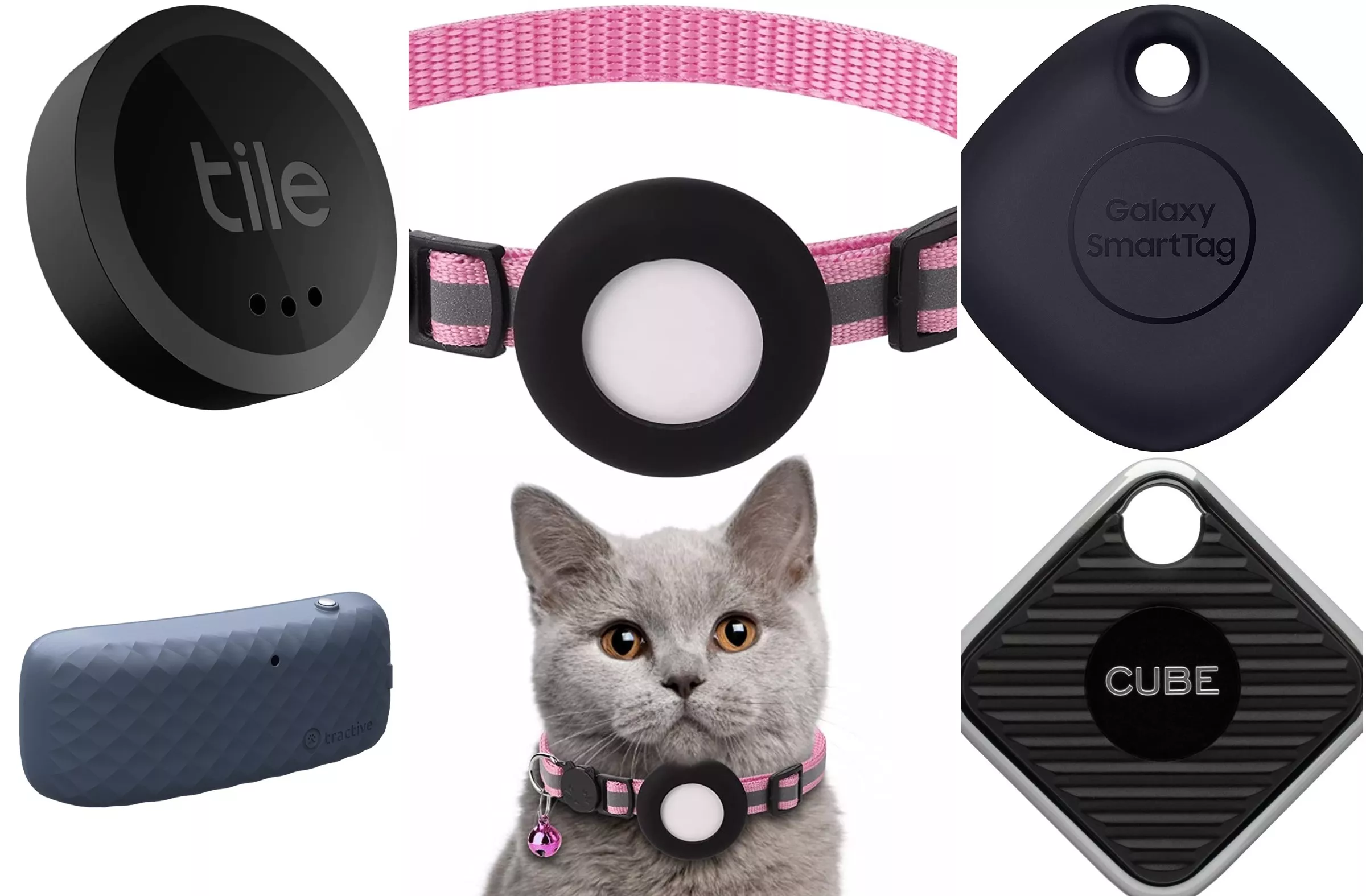 How To Track Your Cat's Whereabouts All Day - Vimarsana News