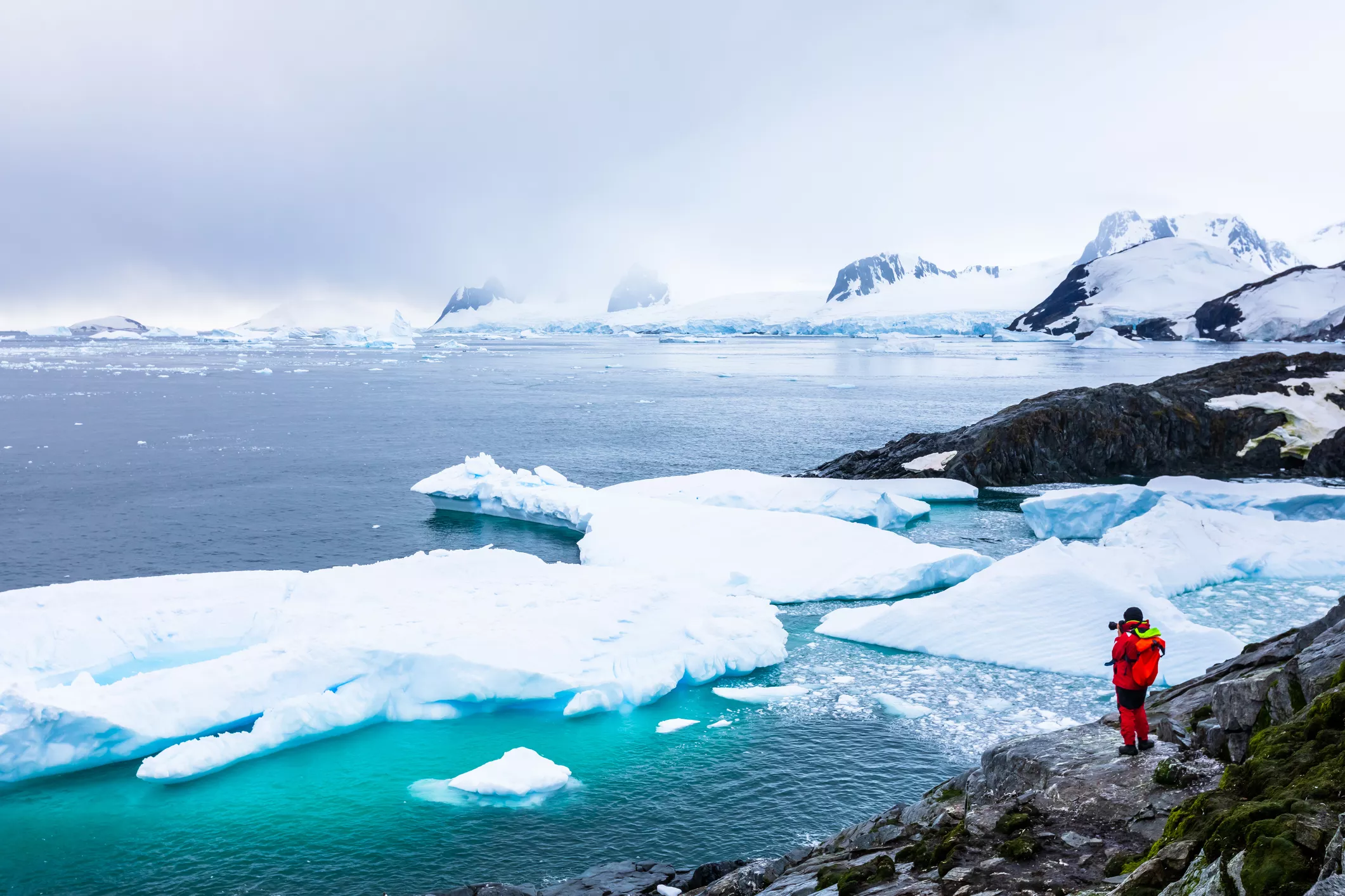 There Could Be Something Big Living Deep Beneath the Antarctic Ice - Vimarsana News