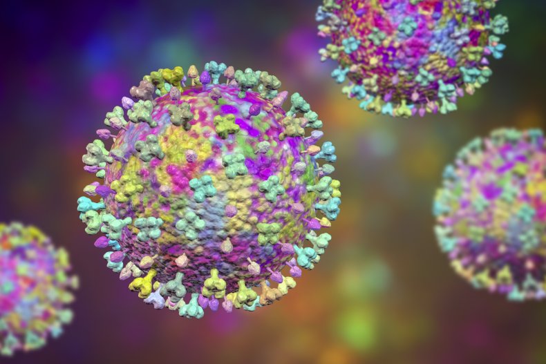 Artist's illustration of a henipavirus