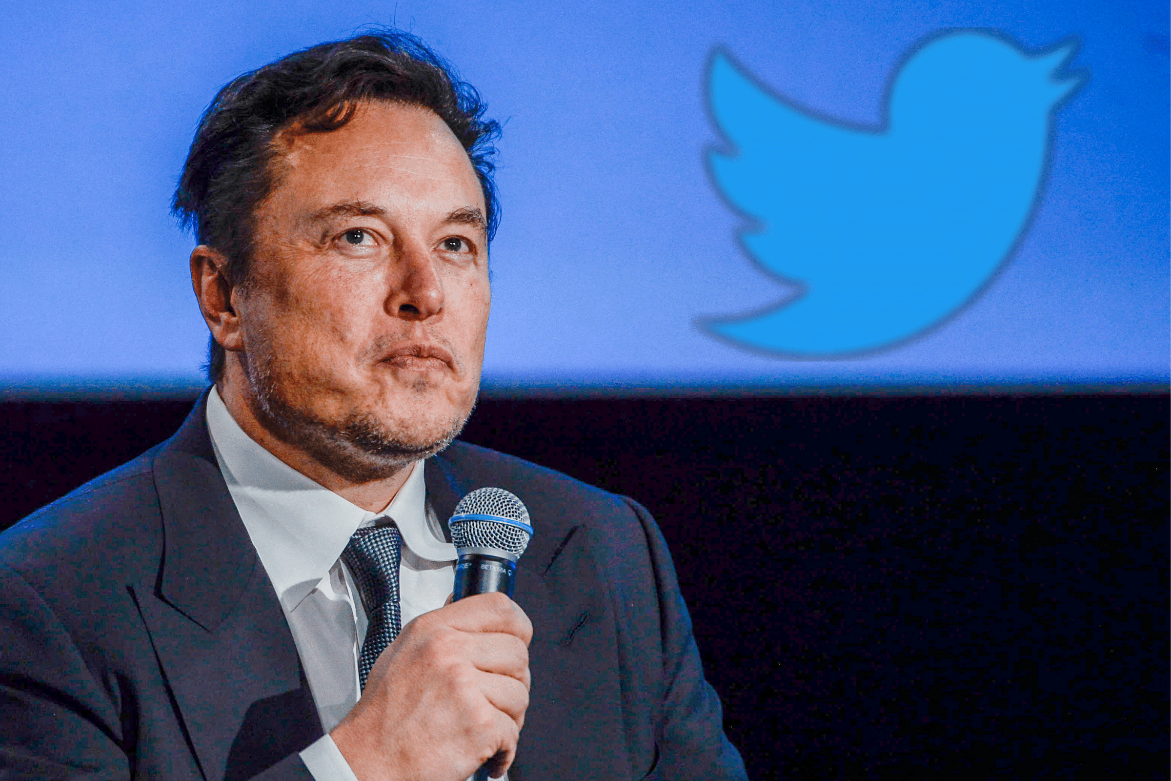 What is Twitter 2.0? Everything We Know About Elon Musk's Plans
