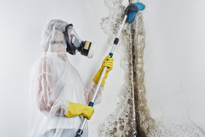 protect yourself when cleaning mold