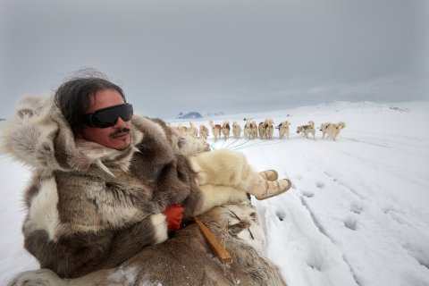 Ole Hammeken with sled dogs in Greenland