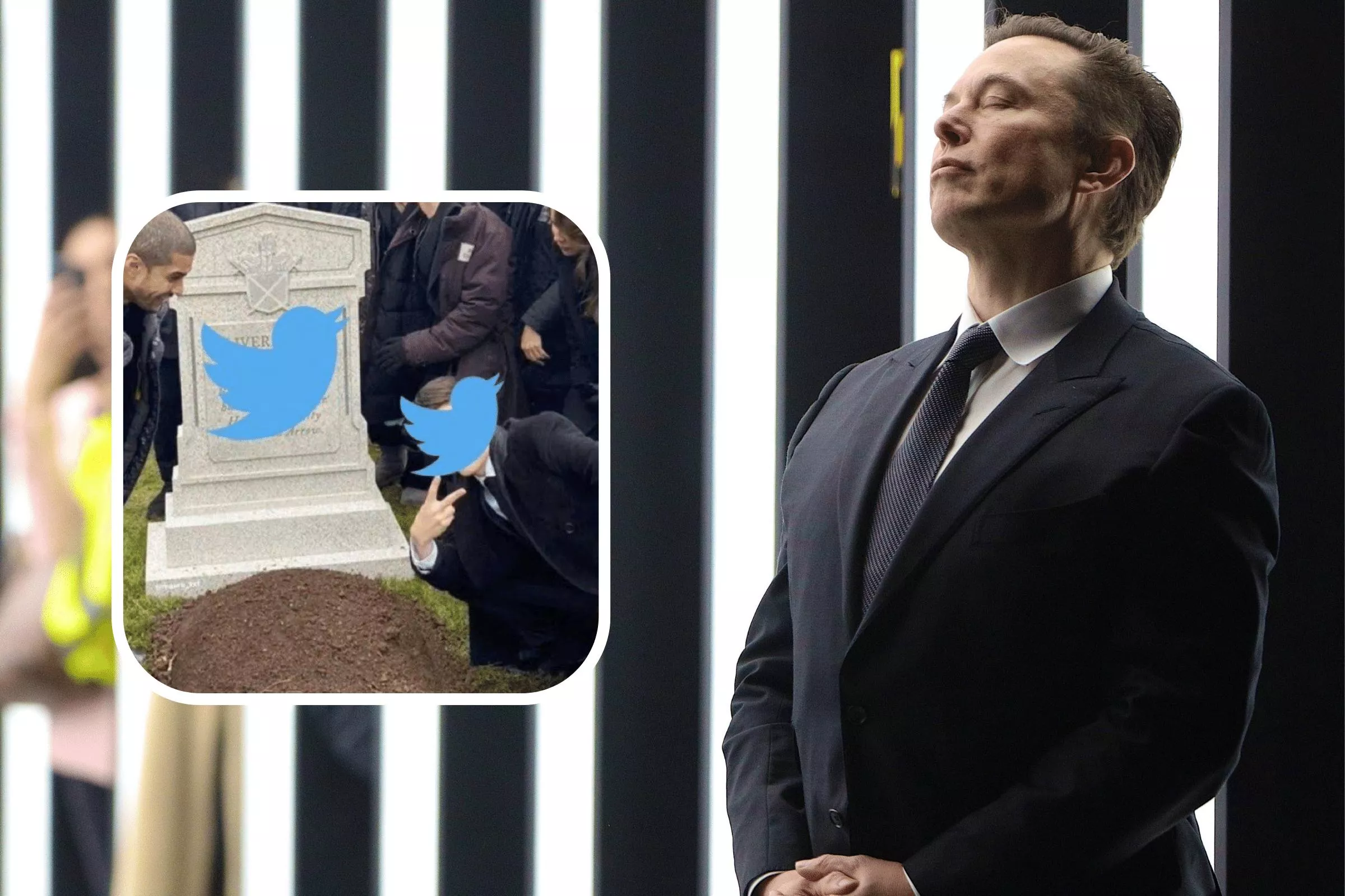 Why #RIPTwitter Is Trending as Elon Musk's Memes Suggest the End Is Near - Vimarsana News