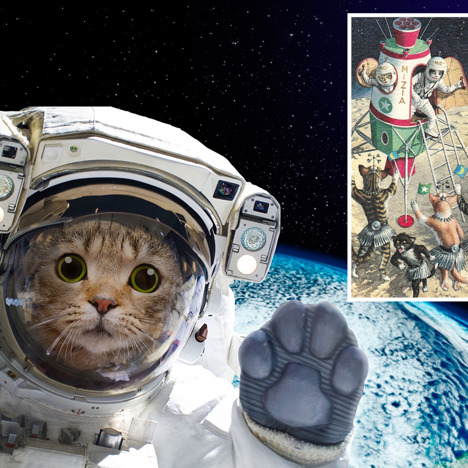 Bizarre History of Cats in Space