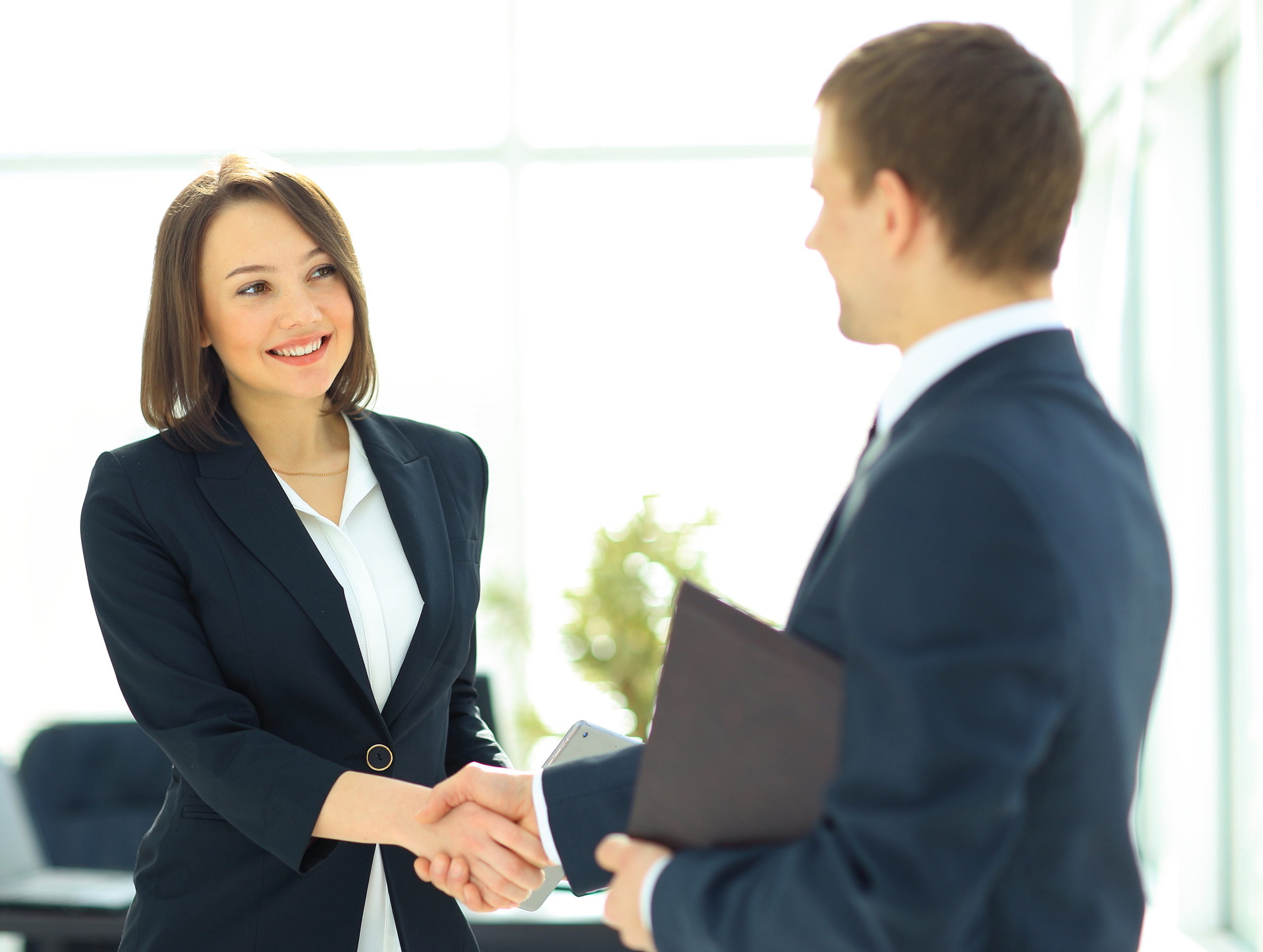 Two professional business people shaking hands