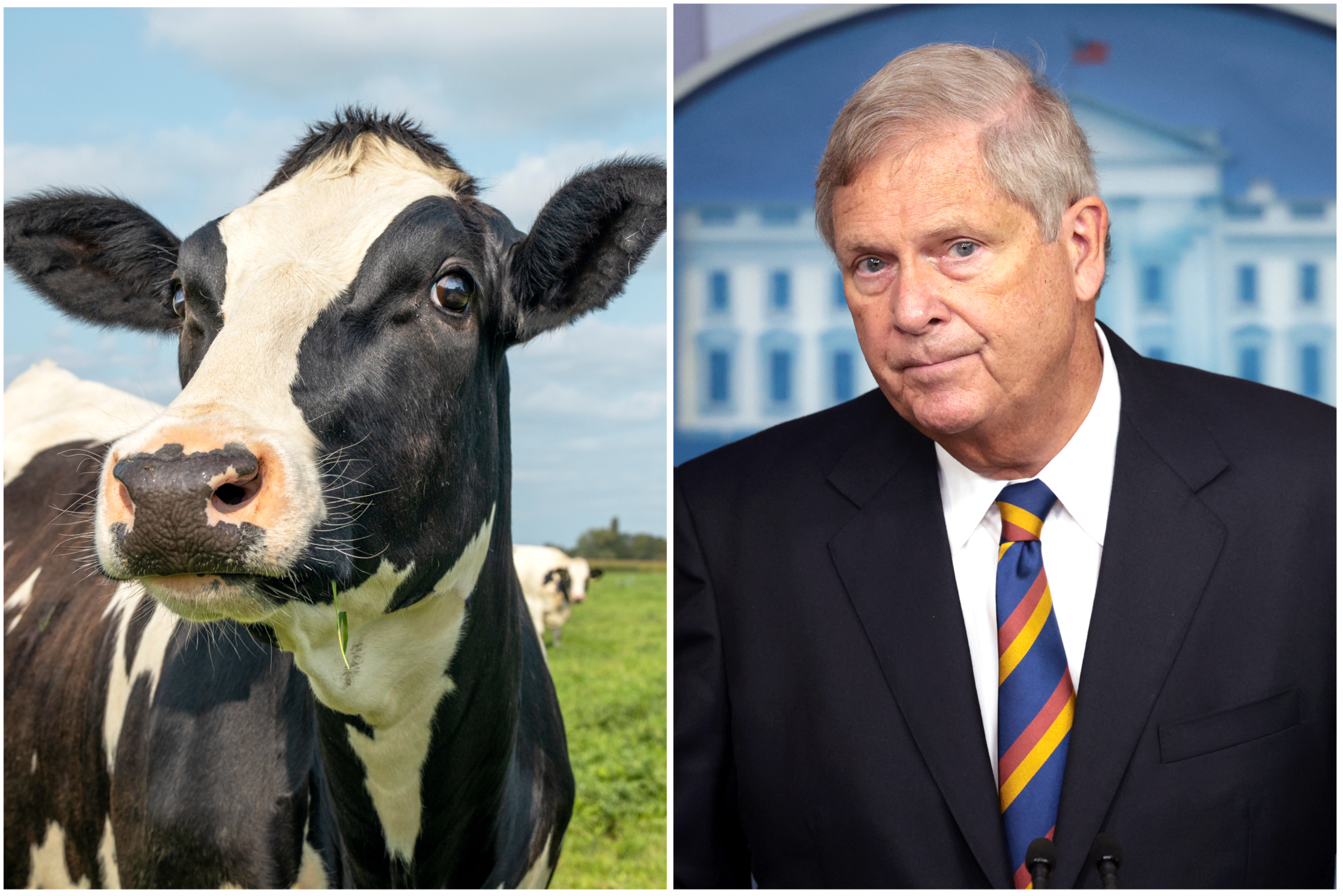 You Could Soon Be Wearing Cow Burps and Farts