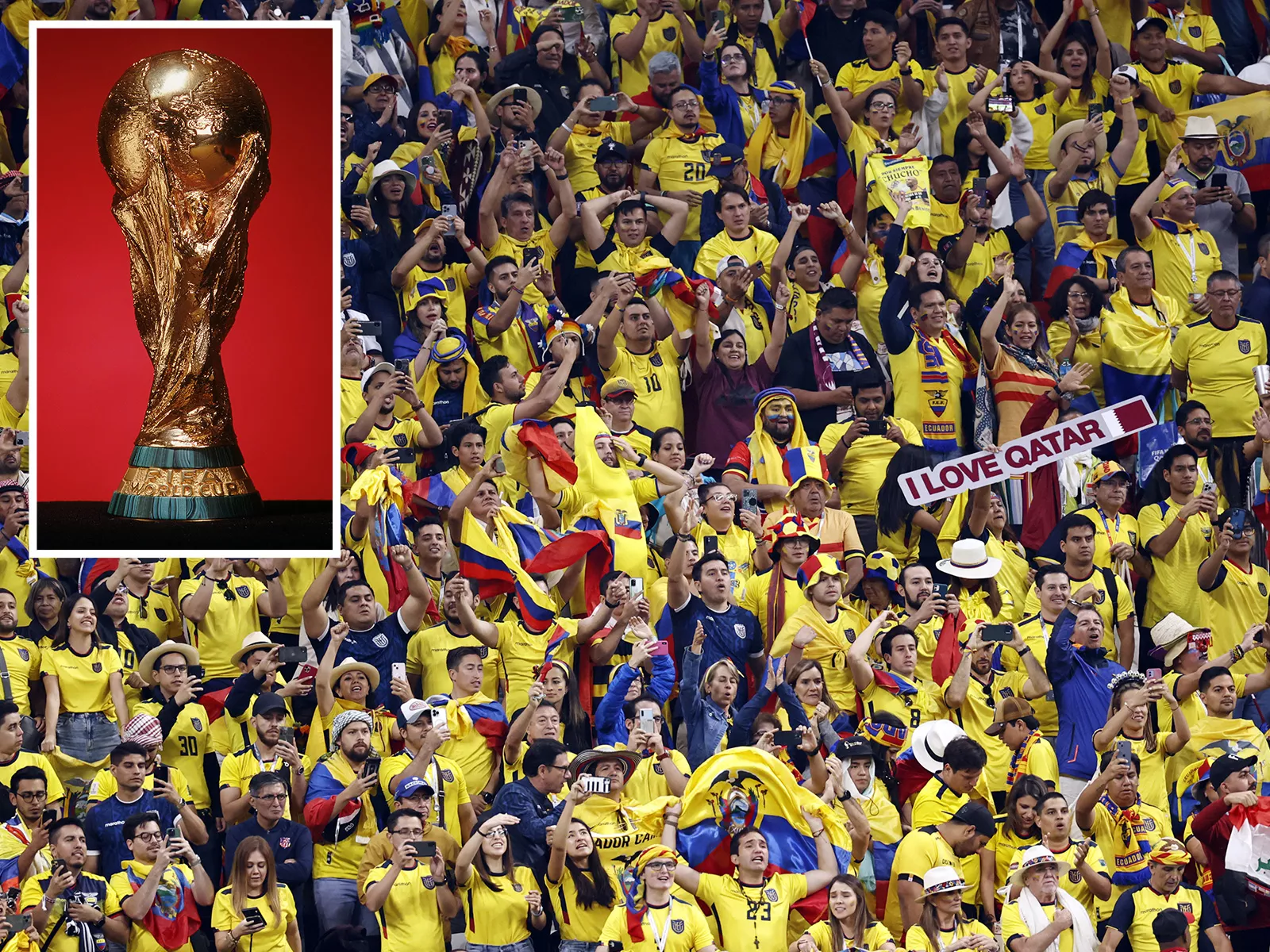 'We Want Beer' Chanted by Ecuador Fans at World Cup, Budweiser Responds - Vimarsana News