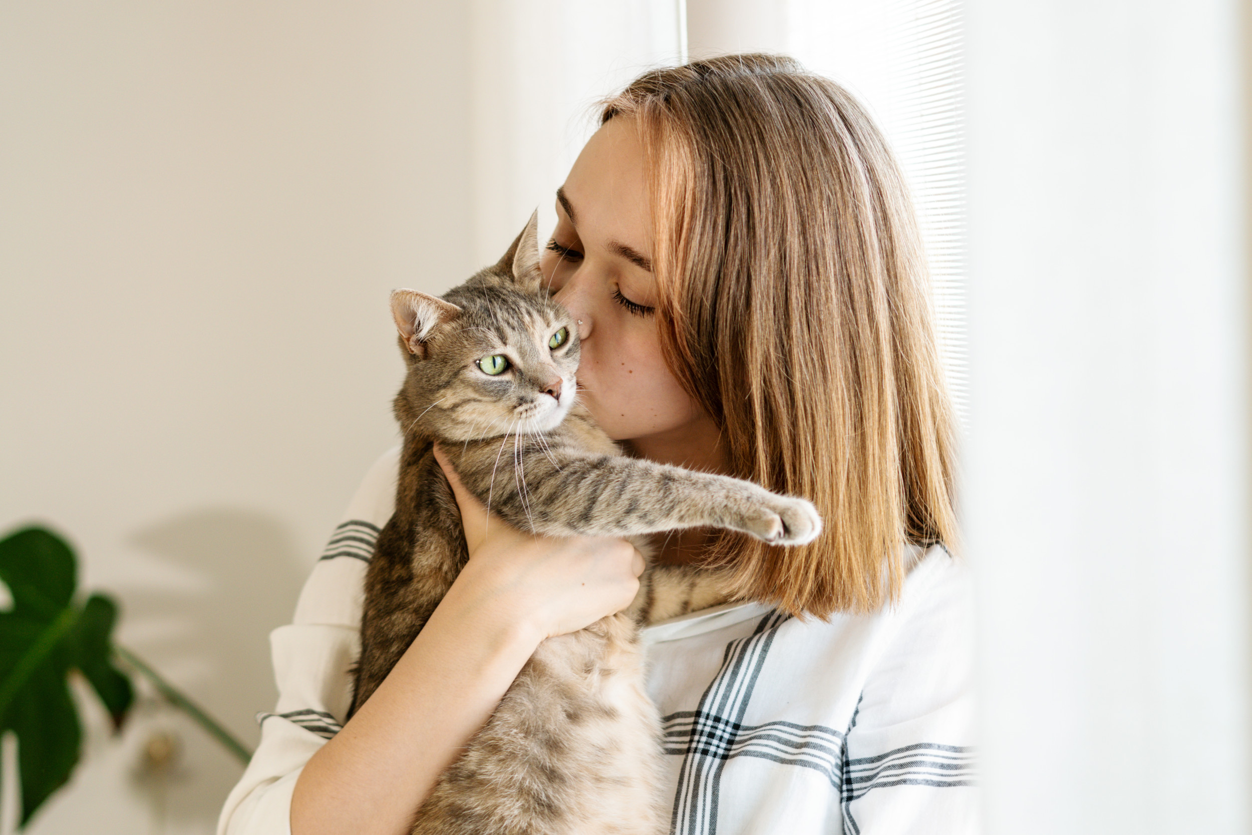 Cat Being Taught How To Kiss Owners Warms Hearts How Lucky Are You 