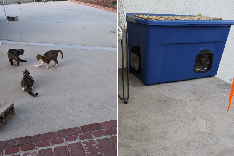 Man Building Bespoke Home For Family Of Feral Cats Melts Hearts large-size-heated-cat-house-for-outdoor-cats-in-winter-elevated