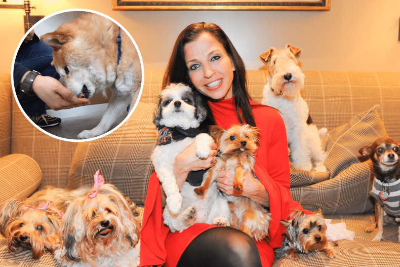 Wendy Diamond and her dogs