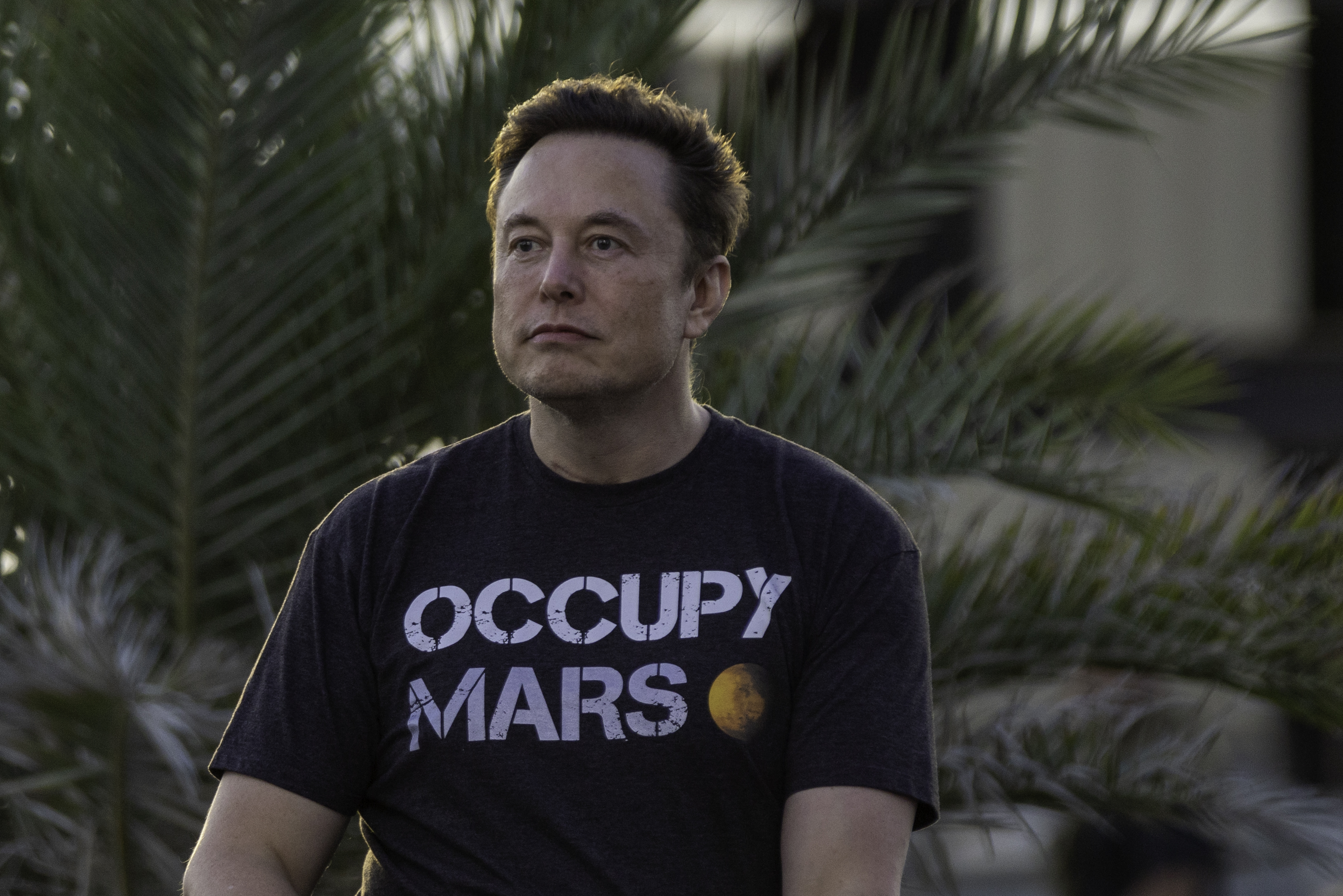 Elon Musk Is Protecting Sexually Exploited Children
