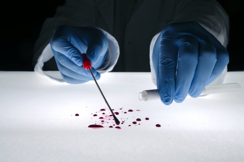 Forensic expert blood sample crime scene investigation 