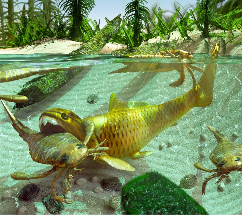 devonian period