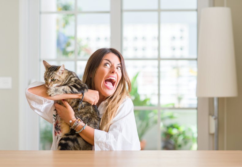 Femme regardant en colère tenant un chat.