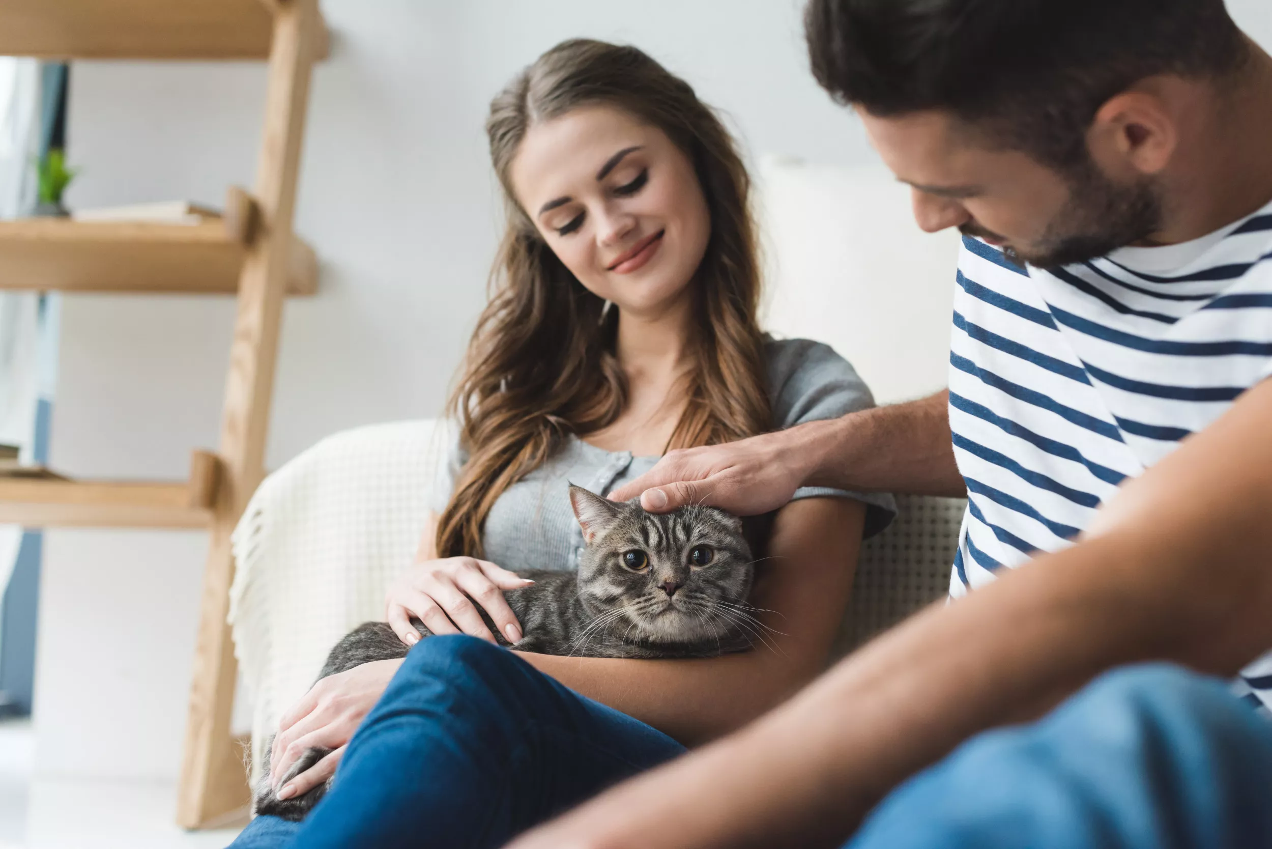 Man Choosing Rescue Cat Over Long-Term Girlfriend Cheered: 'Made My Choice' - Vimarsana News