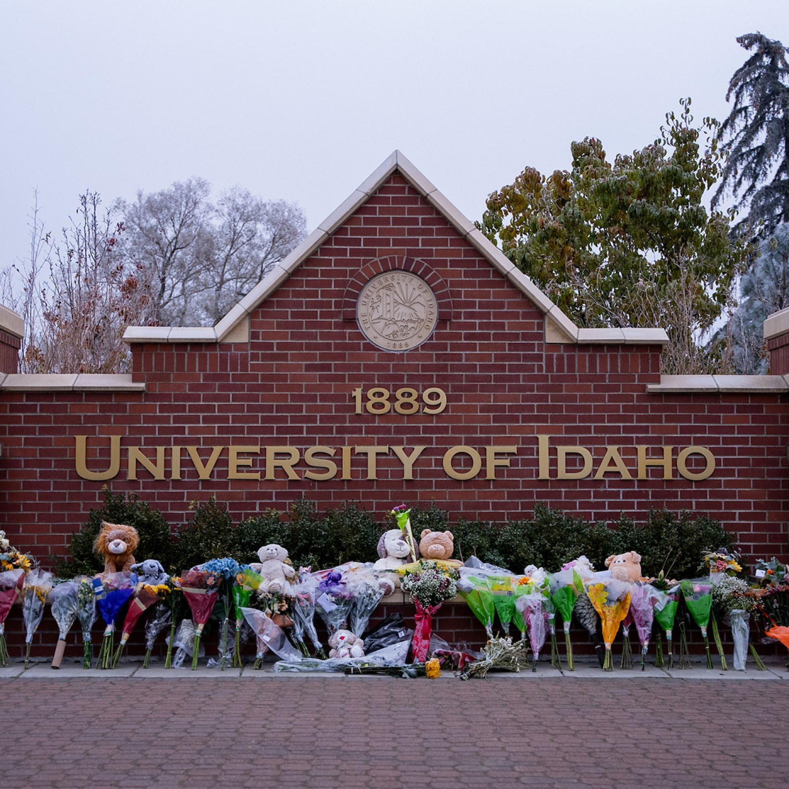 Two roommates of slain University of Idaho students break silence in letters