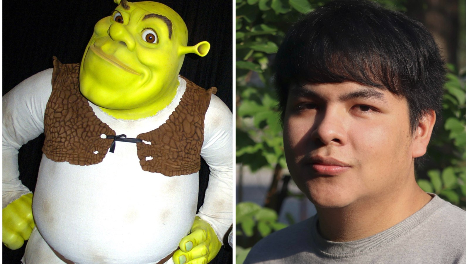 Man Finishes Tweeting All of 'Shrek's 129,575 Frames, Reveals Favorite