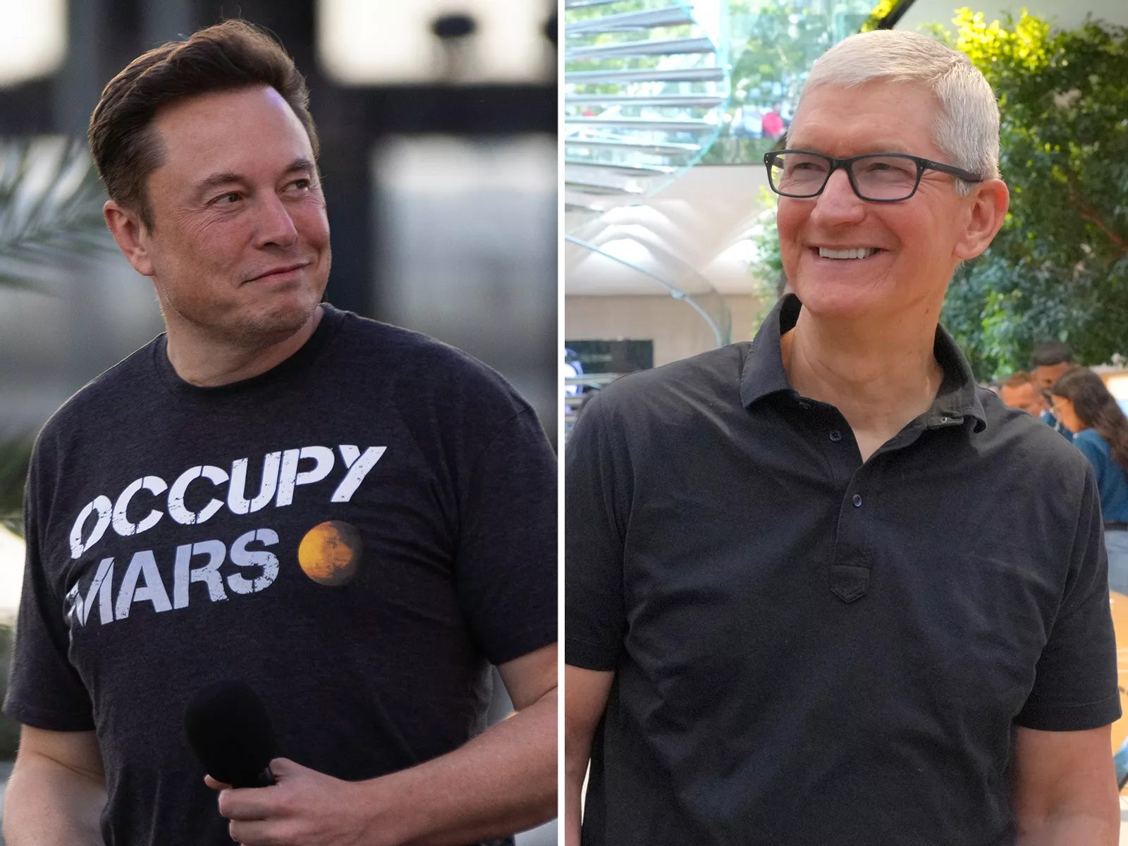 Elon Musk vs. Tim Cook: What the Two Have Said About One Another - Newsweek