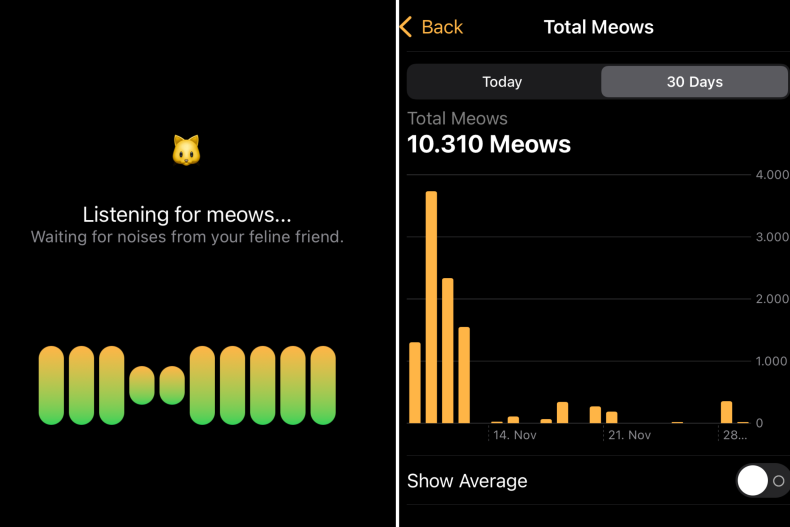 MPM cat noise tracking app