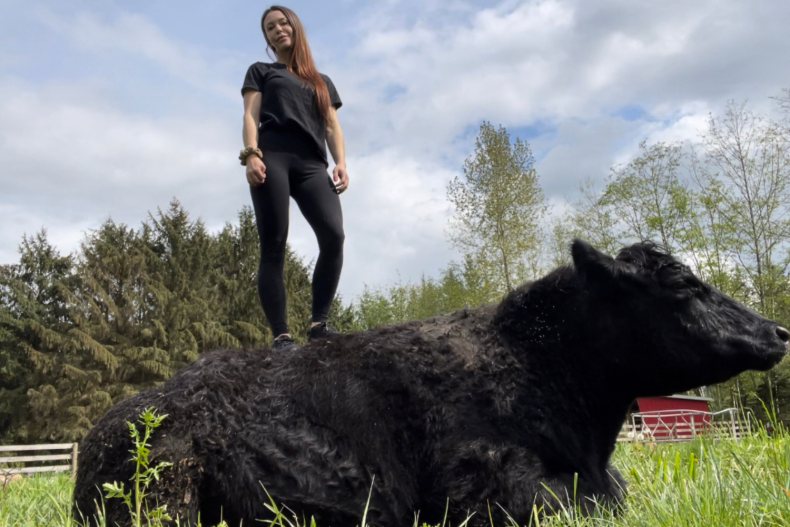 Woman and 2500lbs pet steer