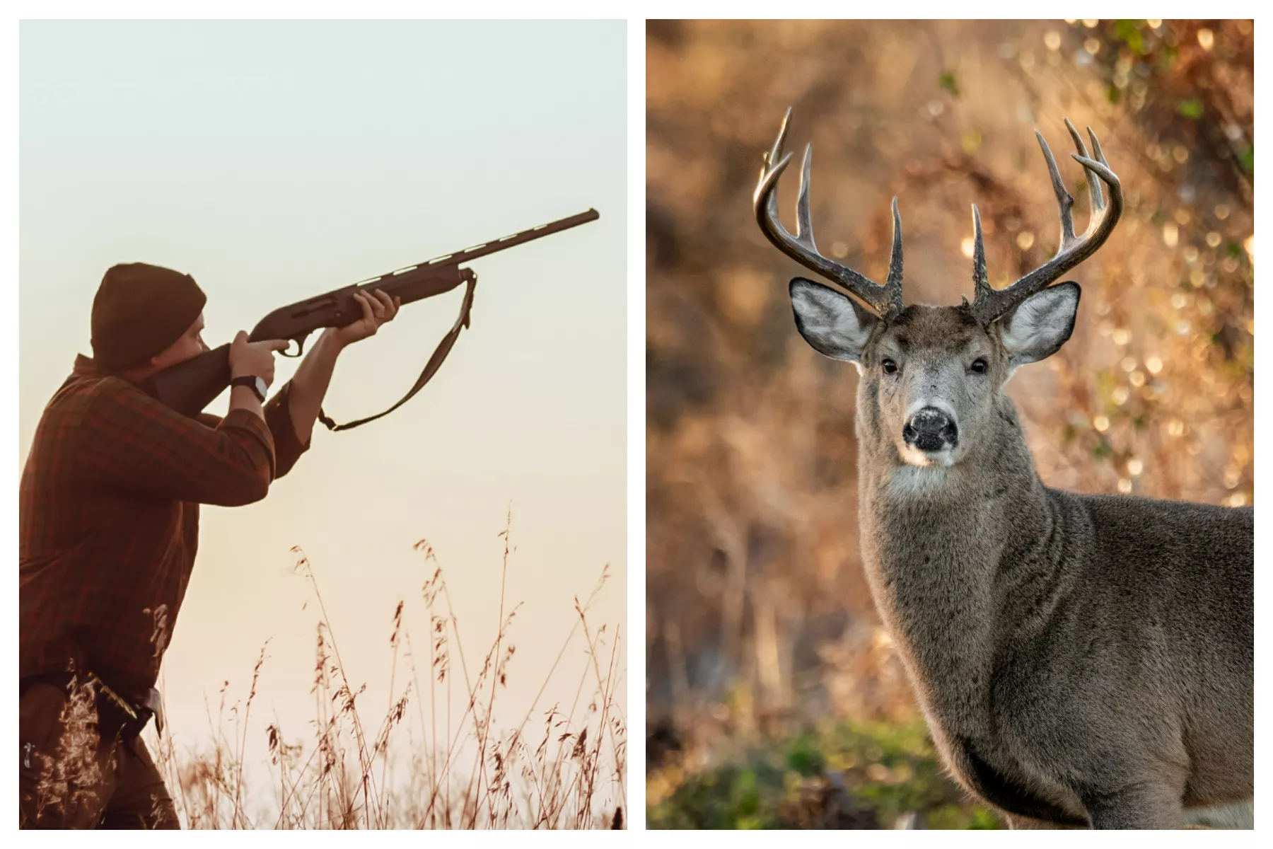 Two Boys, 11, Shot Dead on Hunting Trips Around Thanksgiving - Vimarsana News