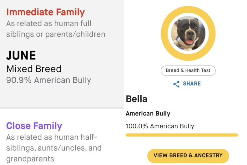 Doggy DNA results