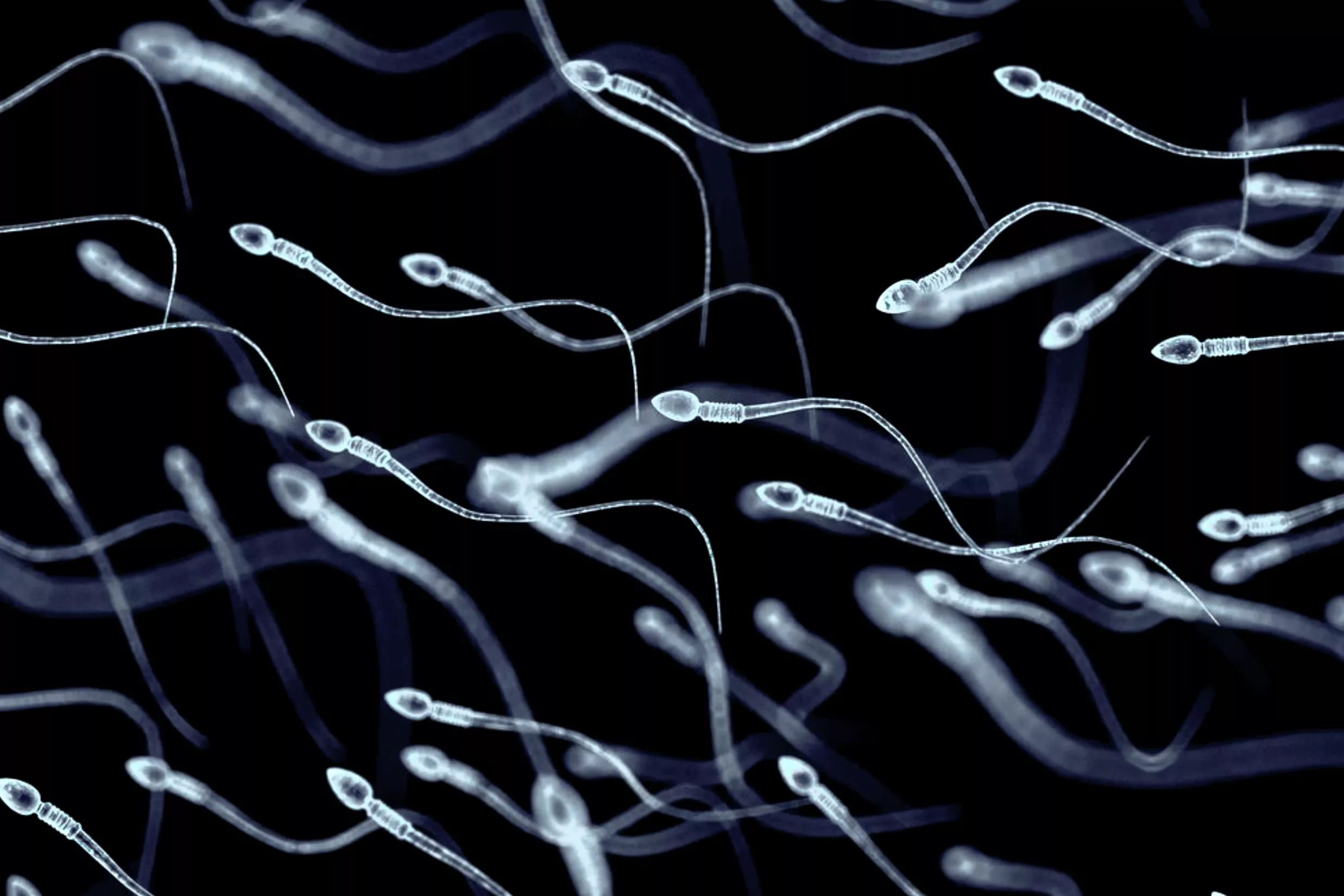 Fact Check: Did Study Show Sperm Count Has Dropped by 62% Worldwide? - Vimarsana News