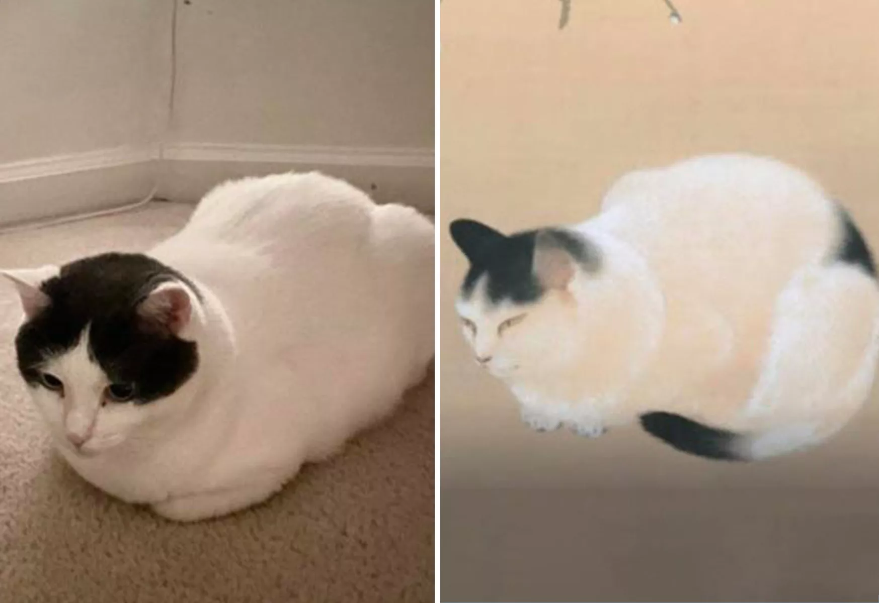 Cat Owner Finds Pet Doppelgänger in 1900s Japanese Painting - Vimarsana News