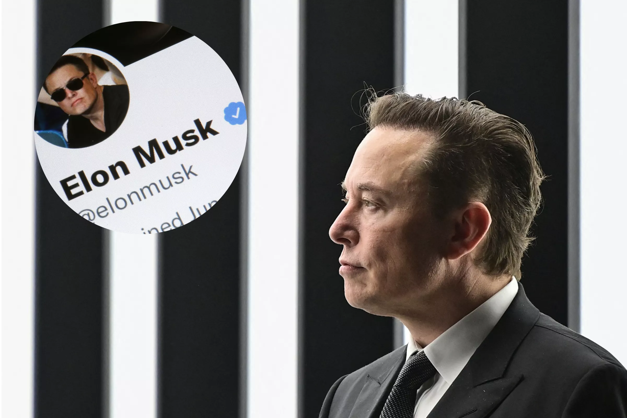 'Elon Musk Fired Me in a Tweet' - Vimarsana News