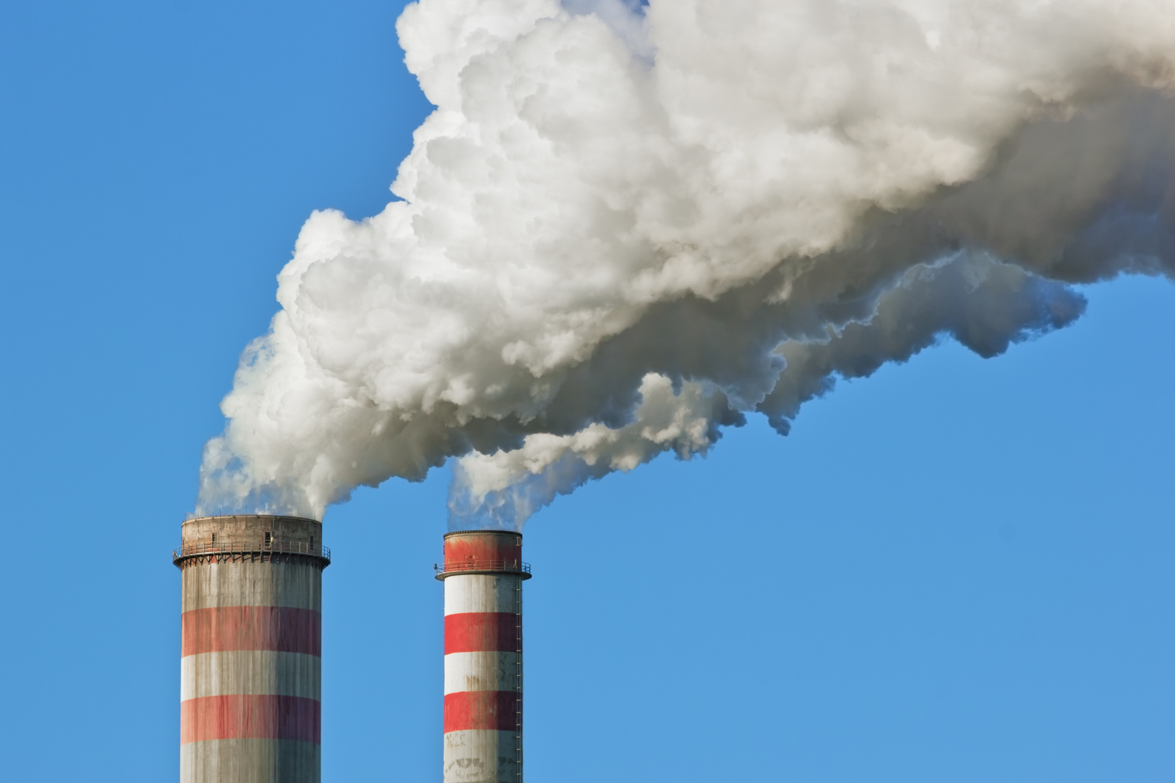 Why Do Fossil Fuels Have So Much Carbon Stored in Them?