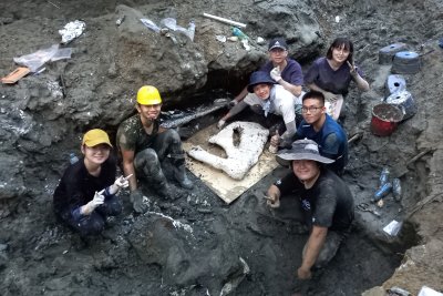 Excavation of Whale Fossils in Taiwan Excavation of Whale Fossils in Taiwan