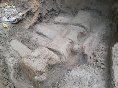 Excavation of Whale Fossils in Taiwan Excavation of Whale Fossils in Taiwan