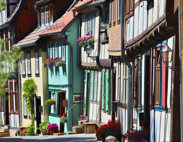 saxony_report