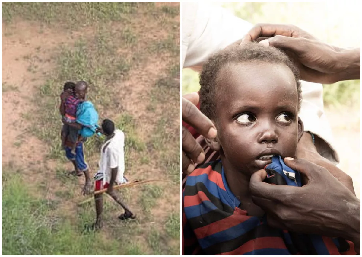 Boy, 4, Survives 6 Days Lost in African Wilderness With Hyenas and Jackals - Vimarsana News