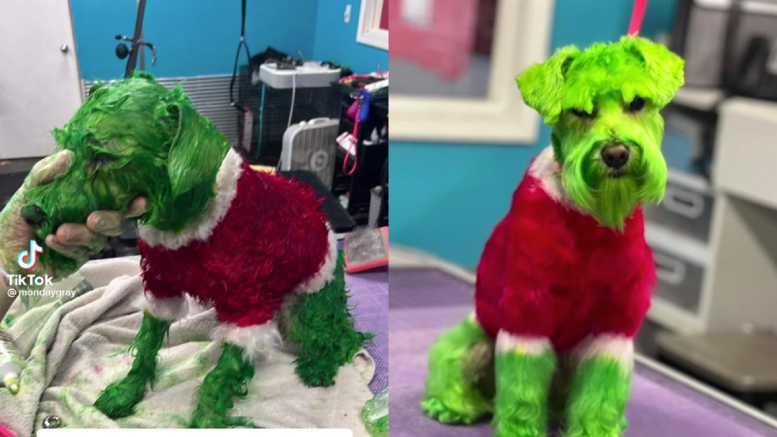 Grinch stuffed animal controversy hotsell