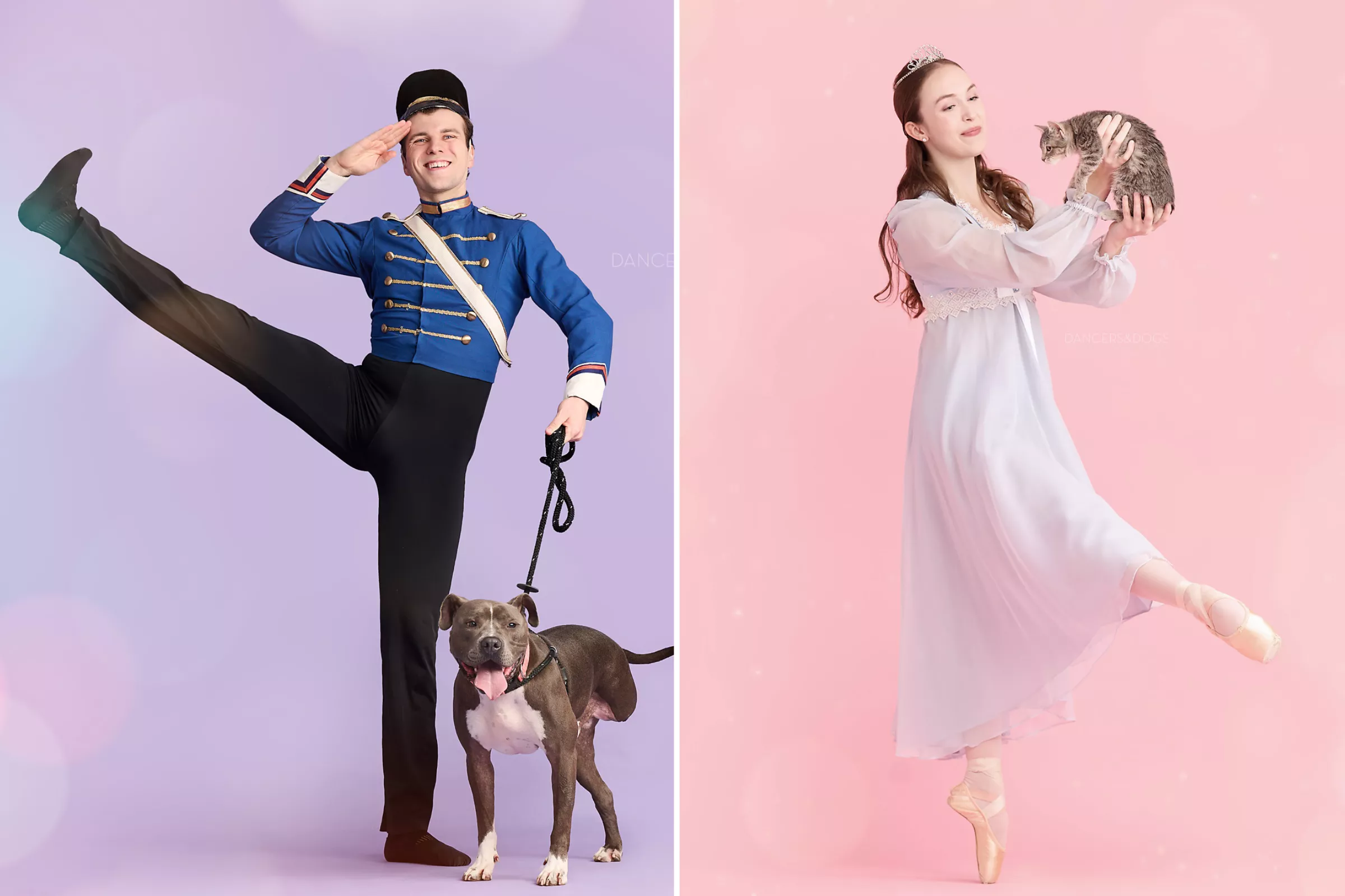 Shelter Celebrates Over 50k Rescues With Amazing 'Muttcracker' Photoshoot - Vimarsana News