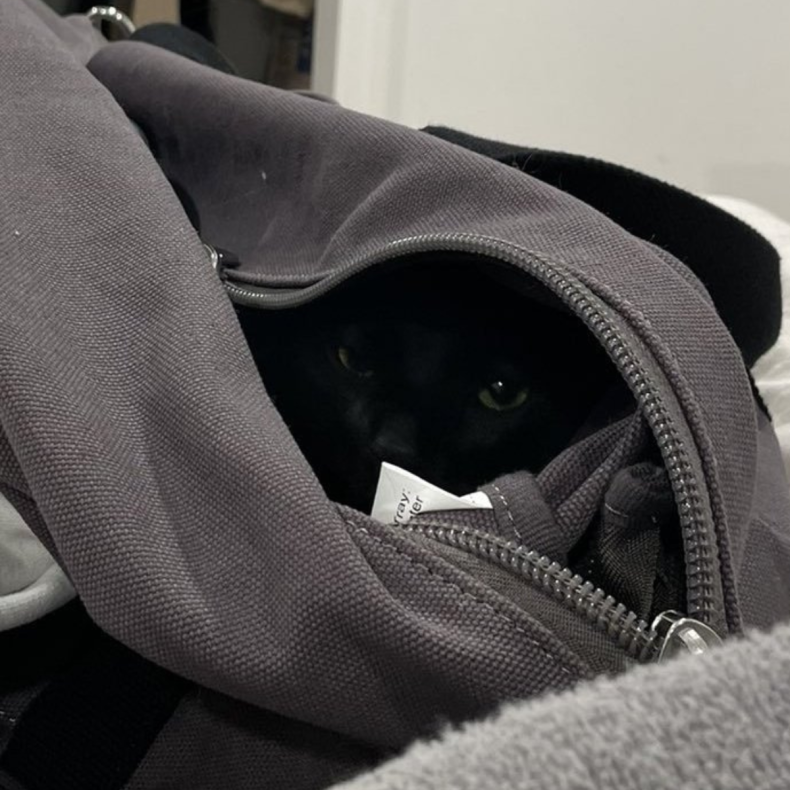 A closer look at Mojito's hiding place.