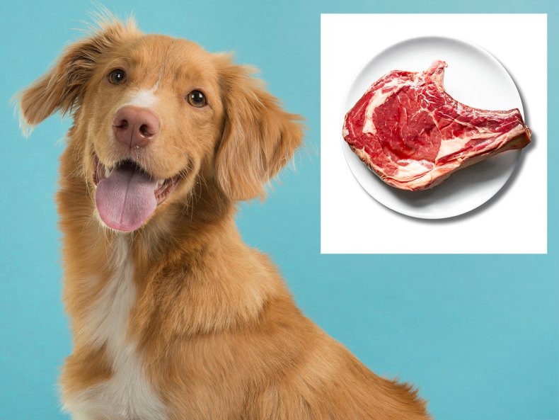 Comp a Dog and Raw Meat 