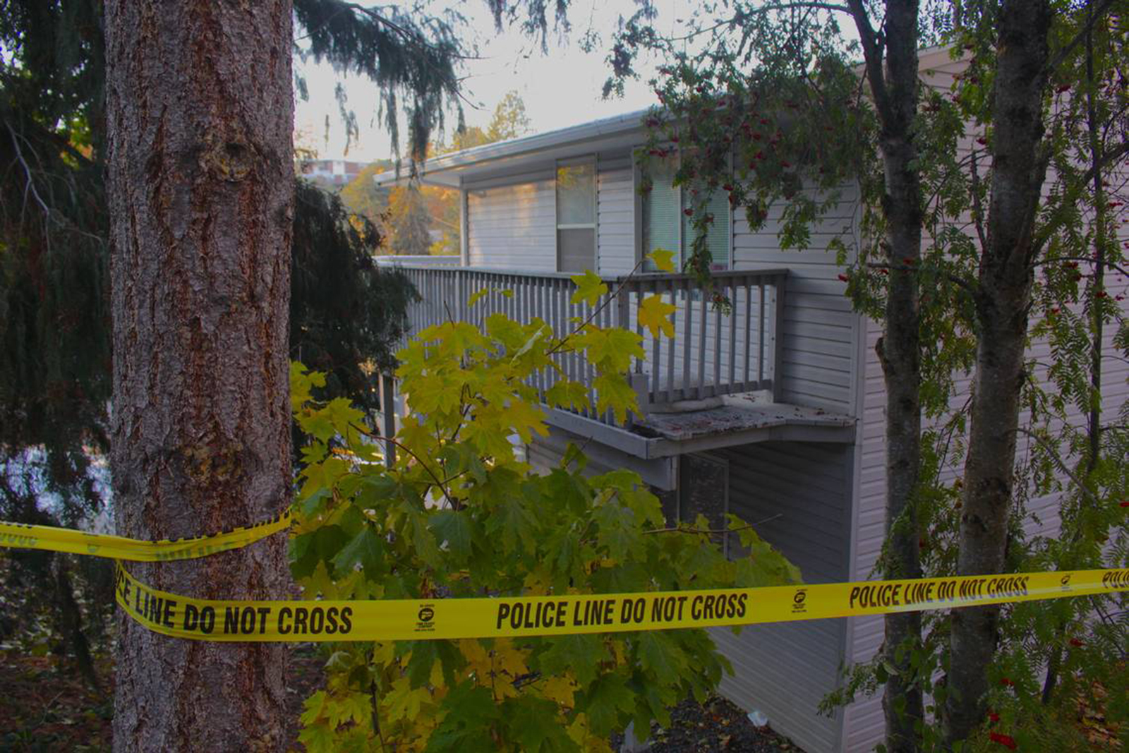 Idaho Murders Update As 50 Search Warrants Obtained In Investigation 