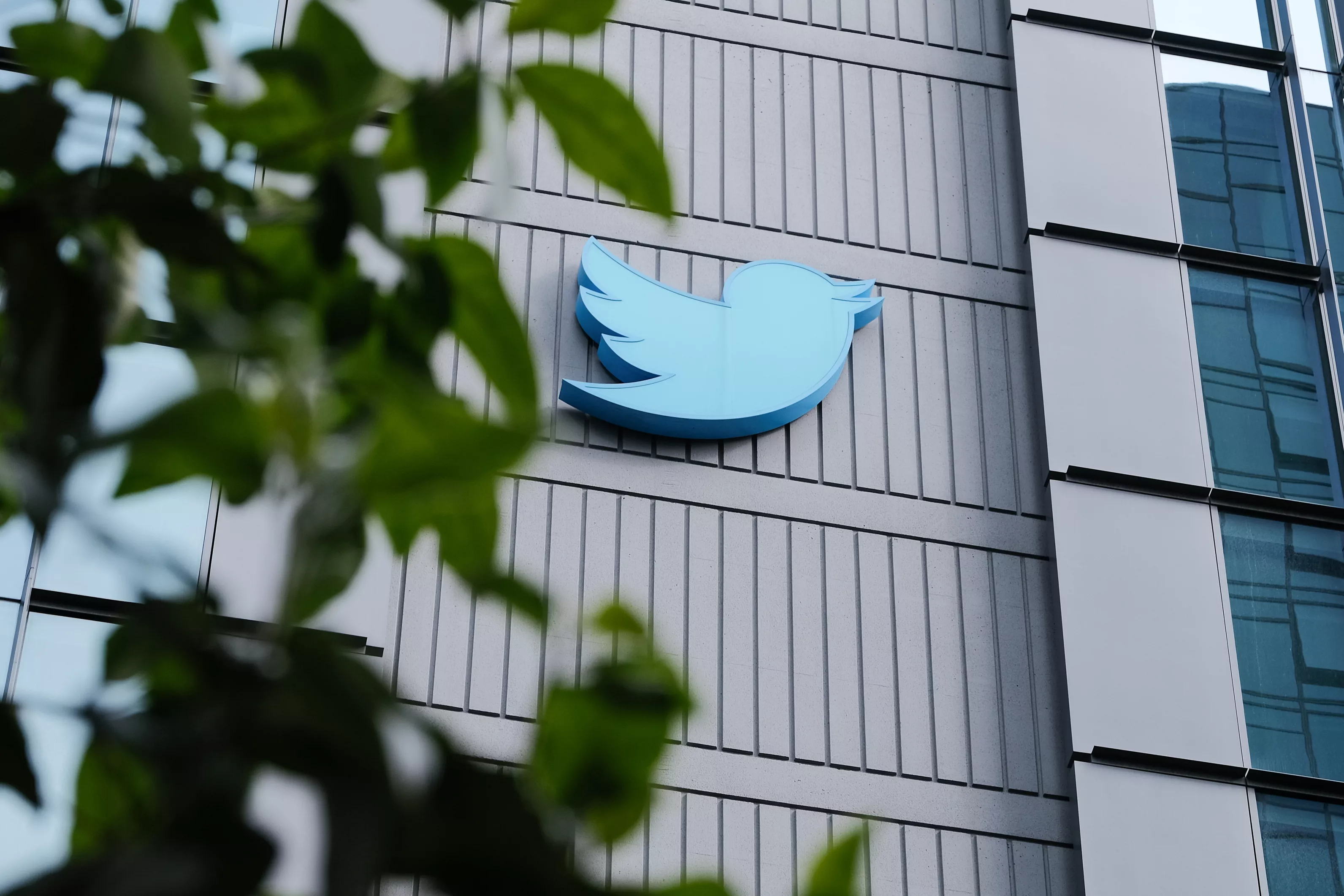 Musk's Twitter Actions Could Incite Harm, Experts Warn: 'Playing With Fire' - Vimarsana News
