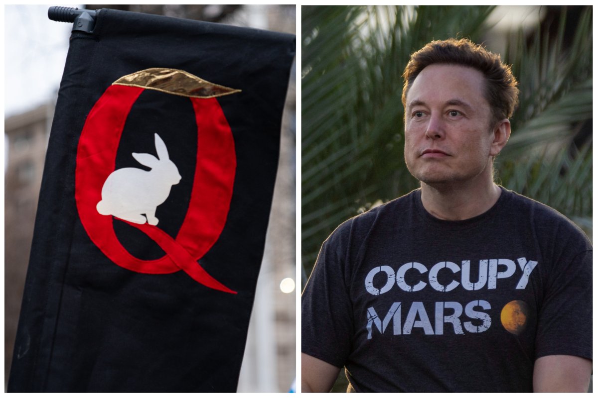 Image of QAnon banner and Elon Musk
