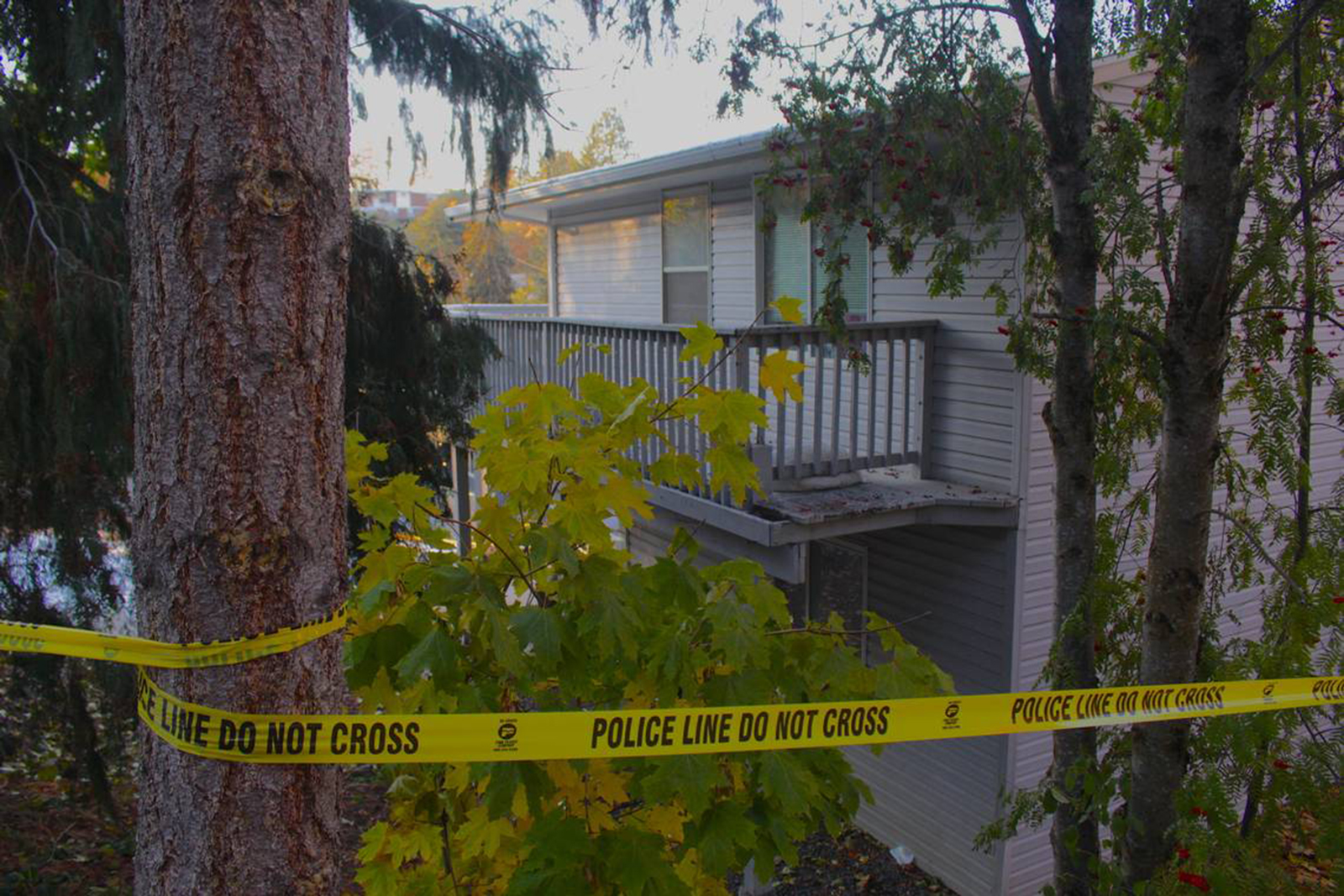 Who Is Inan Harsh Neighbor Of Slain Idaho Students Who Heard Scream