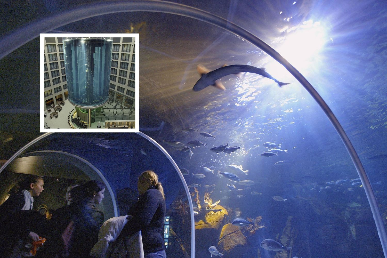 Largest freestanding aquarium in the world explodes - AquaDom Aquarium ExploDes Berlin Germany