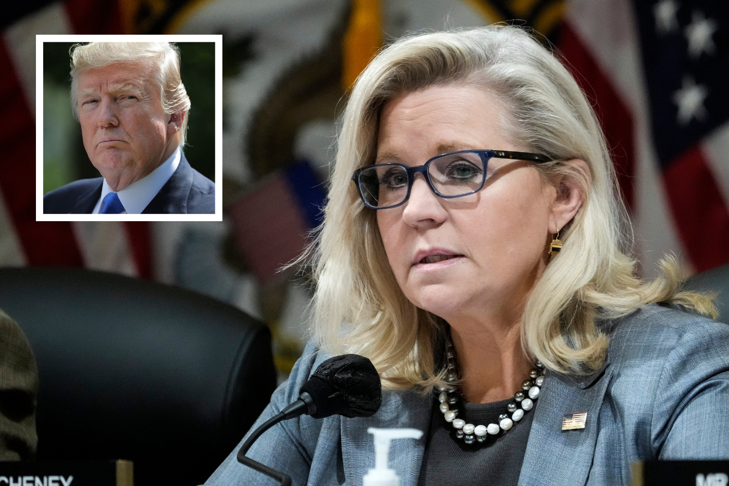 Liz Cheney Praised After Last Jan. 6 Speech: 'Holding Back No Punches'