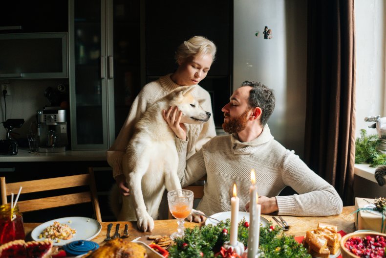 Christmas dinner items your dog can't have