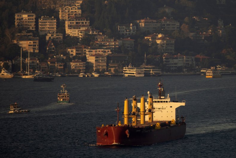 Tàu chở ngũ cốc Ukraine qua Bosphorus Istanbul