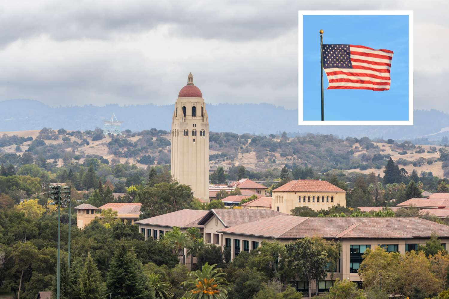 Stanford Slammed For Putting American On Forbidden Word List Take That   Stanford University American Citizen Forbidden Words Elon 