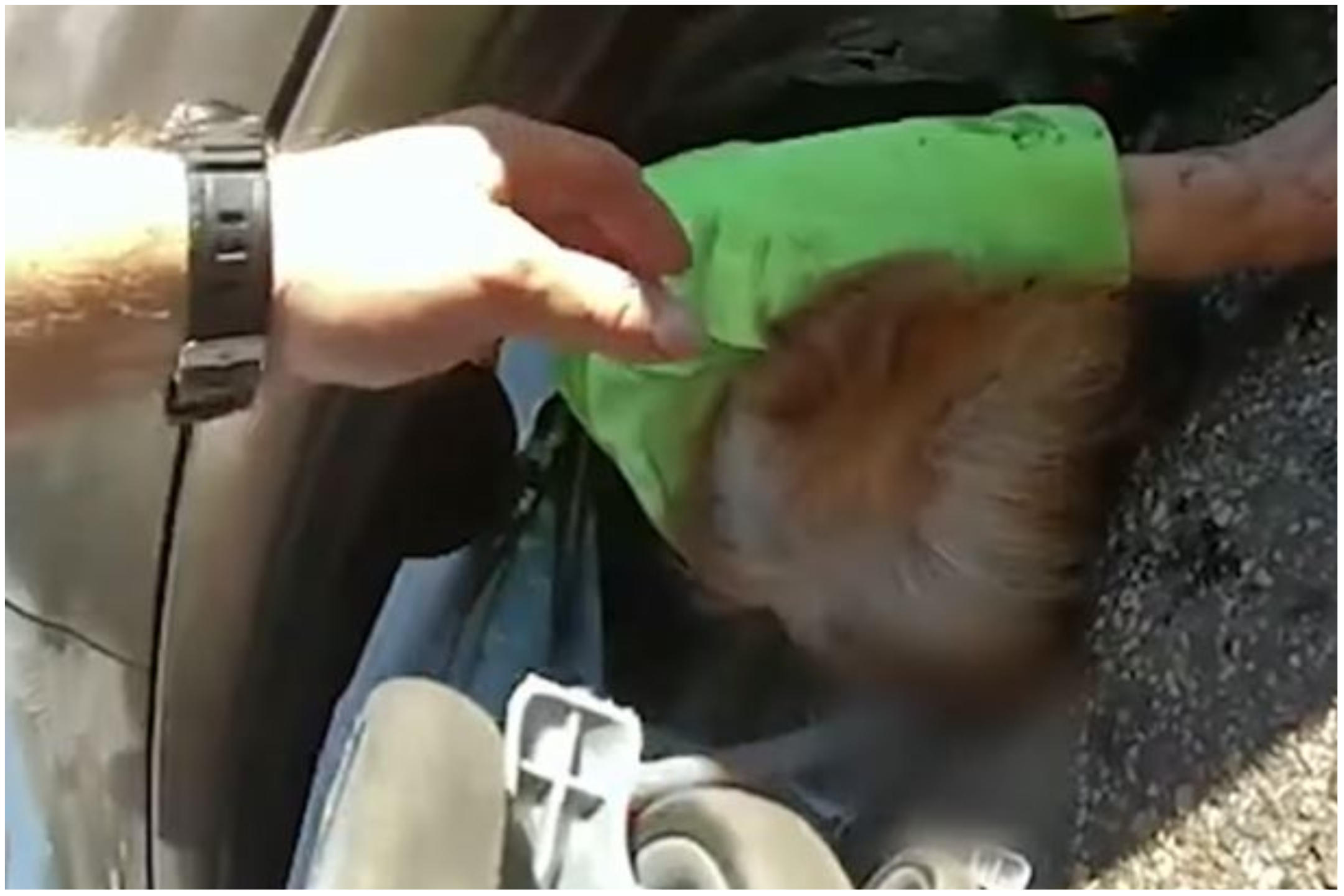 Great-Grandmother and Toddler Pinned Under Car Rescued in Dramatic Video