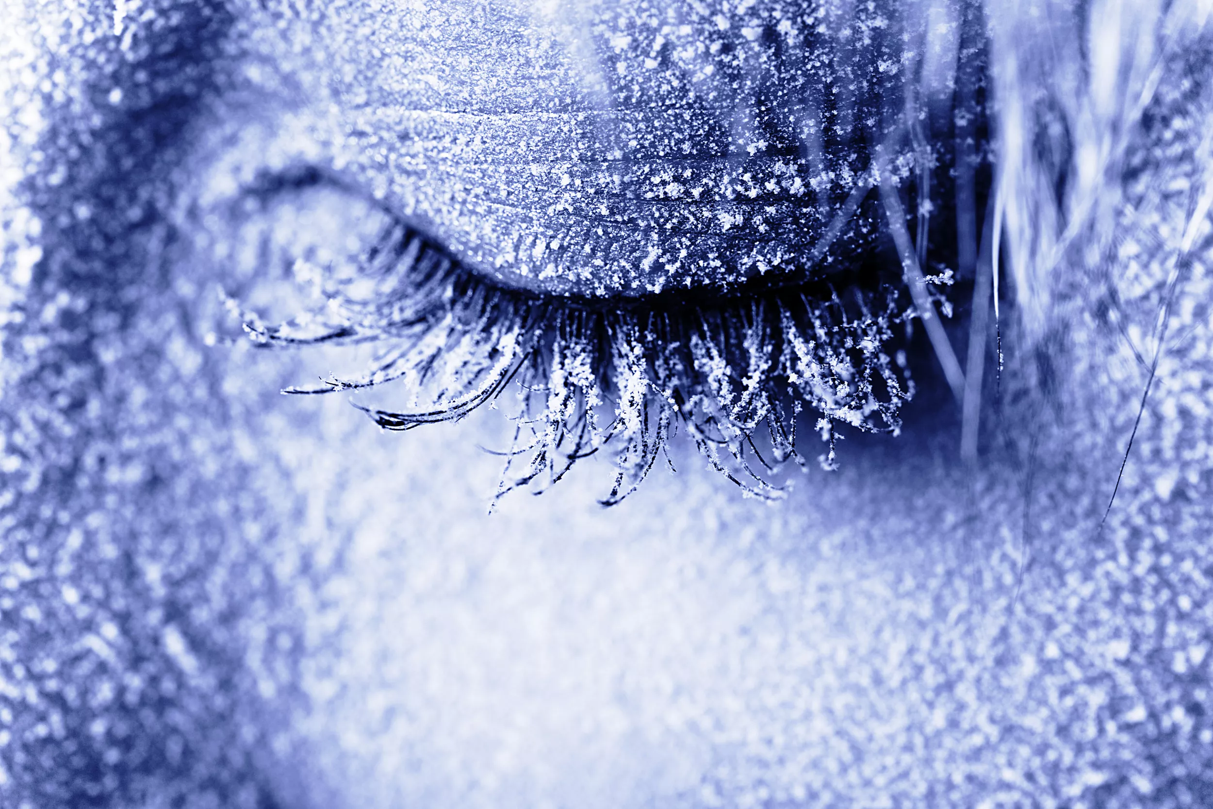 Signs Extreme Cold May Be About to Kill You Without You Even Knowing It - Vimarsana News
