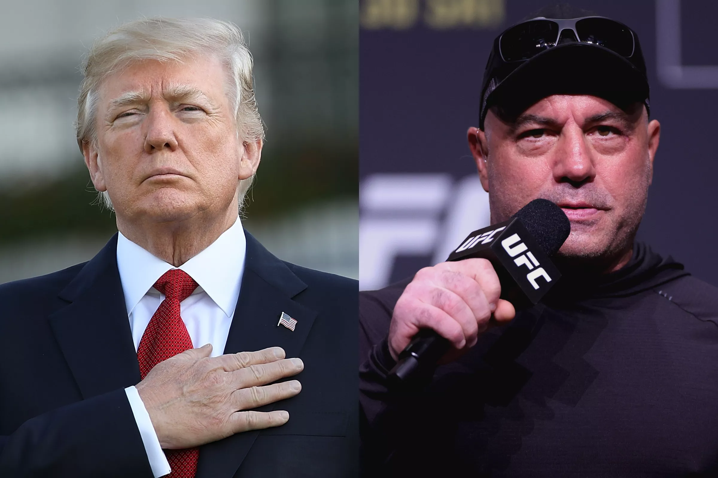 Donald Trump Myth Dispelled: 'He's Got Regular Sized Hands,' Says Joe Rogan - Vimarsana News